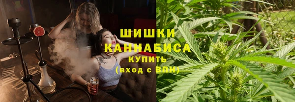 PSILOCYBIN Покров